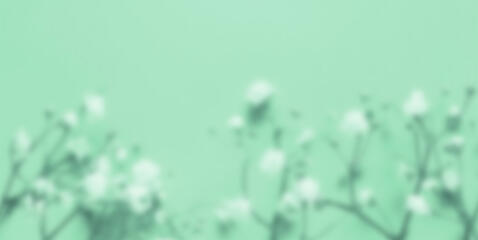 byf means "before you follow,", dni means "do not interact (if the following applies to you):".